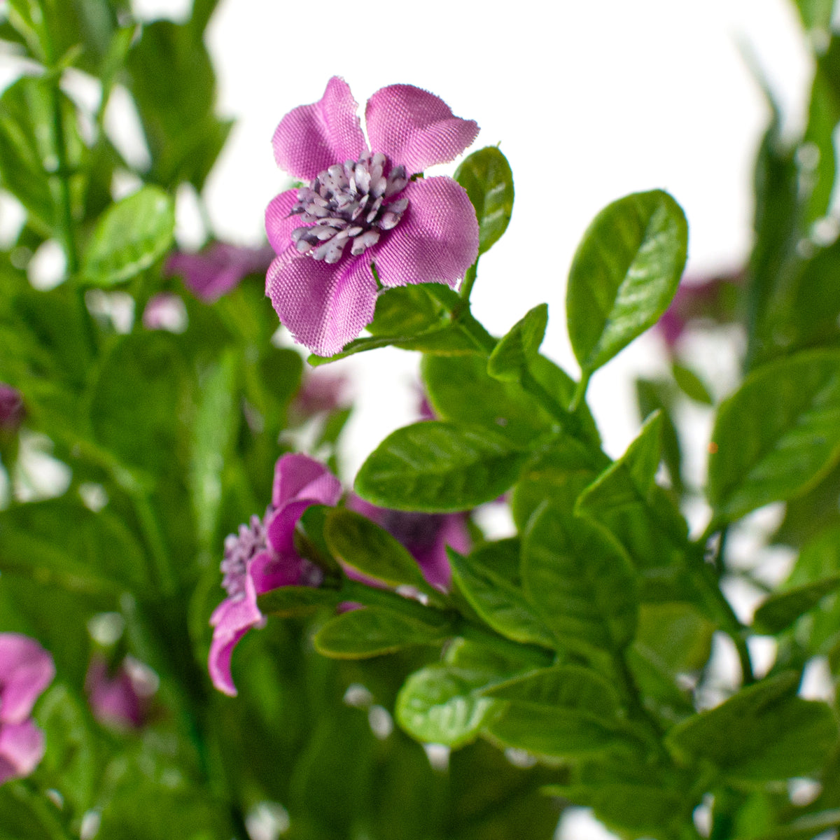 17" Small Flower Filler Bush: Purple Lifestyle Photo