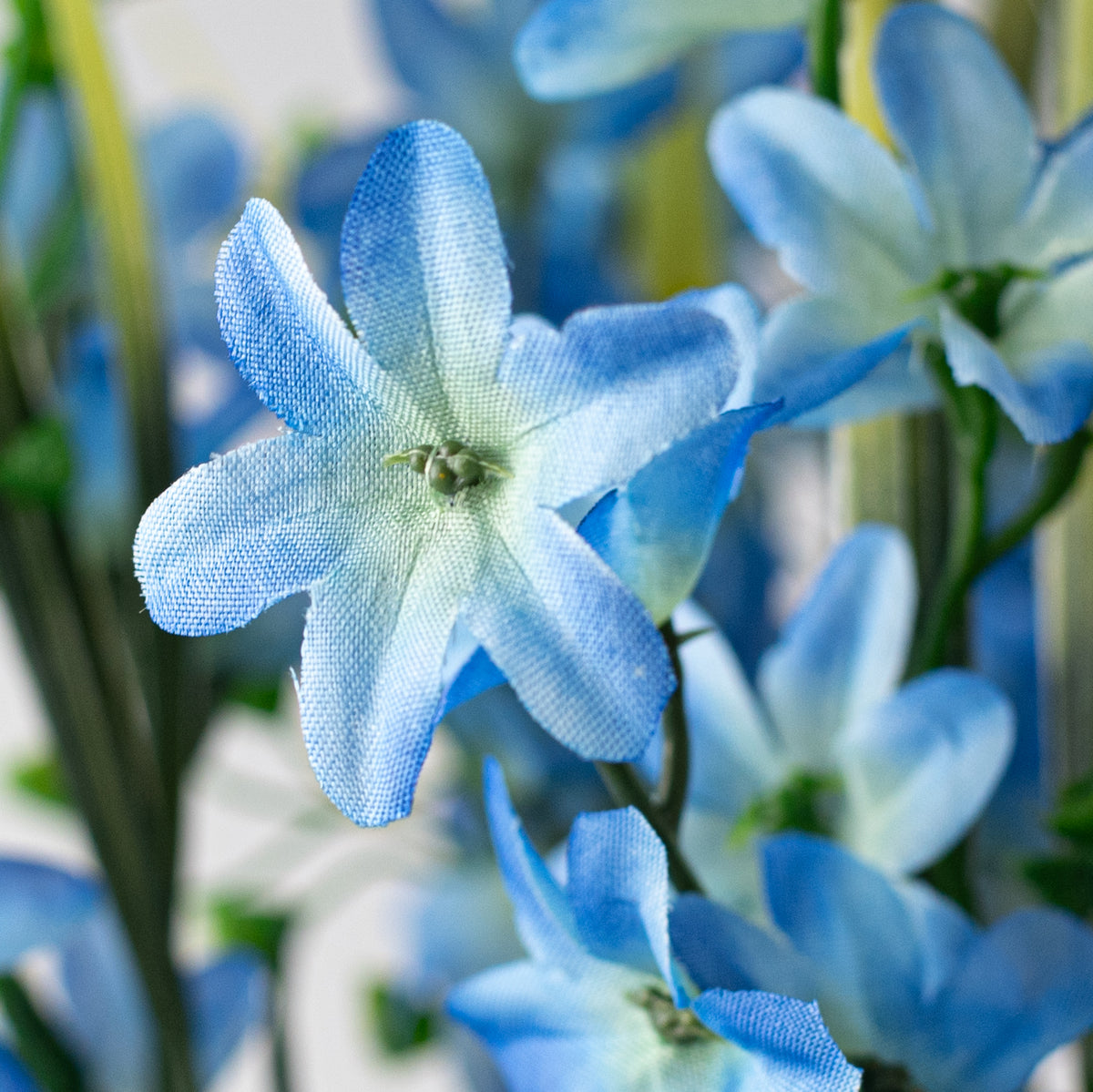 19" Star Blossom Bush: Blue Lifestyle Photo
