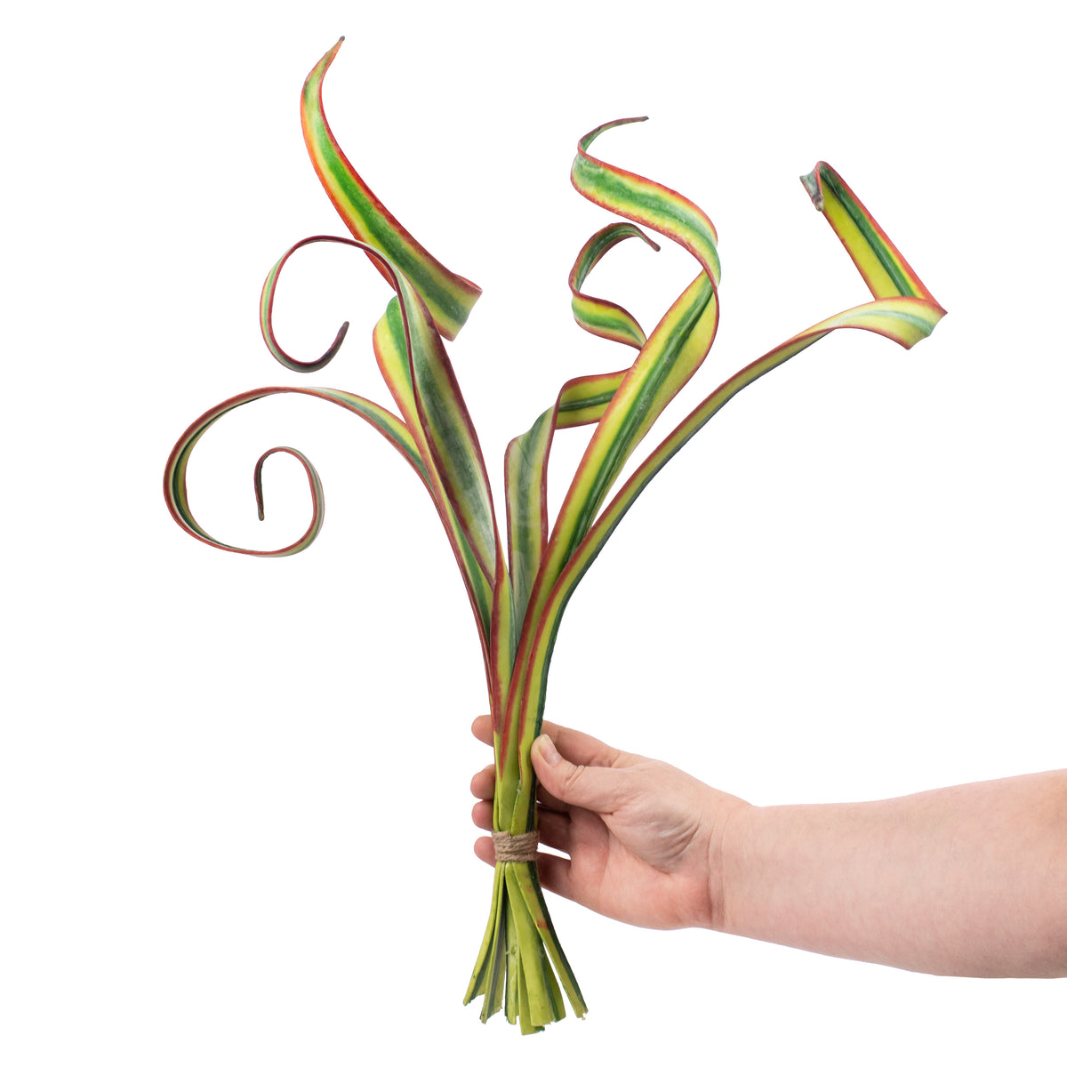 23" Tropical Blade Grass Bundle Lifestyle Photo