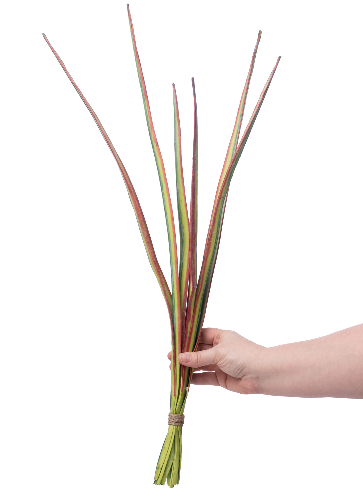 23" Tropical Blade Grass Bundle detail photo 3