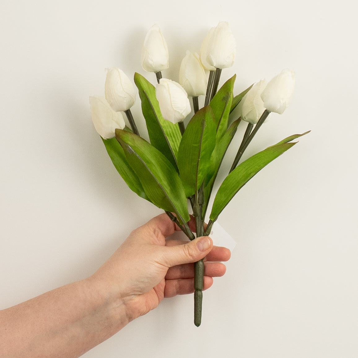 13" Tulip Bush: Cream (9 Stem) detail photo 3