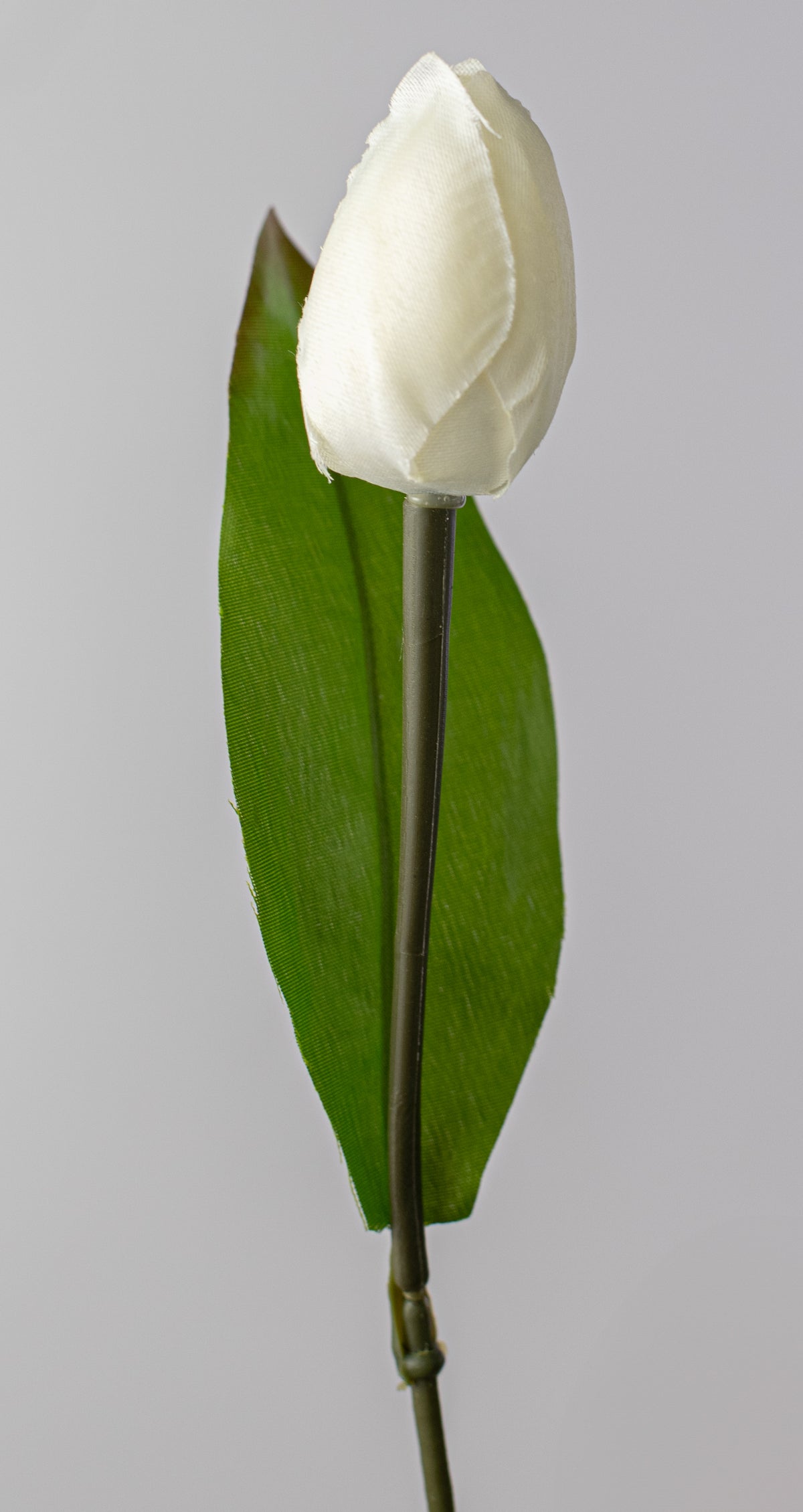 13" Tulip Bush: Cream (9 Stem) detail photo 4
