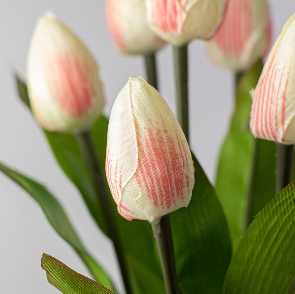 13" Tulip Bush: Cream & Pink (9 Stem) Lifestyle Photo