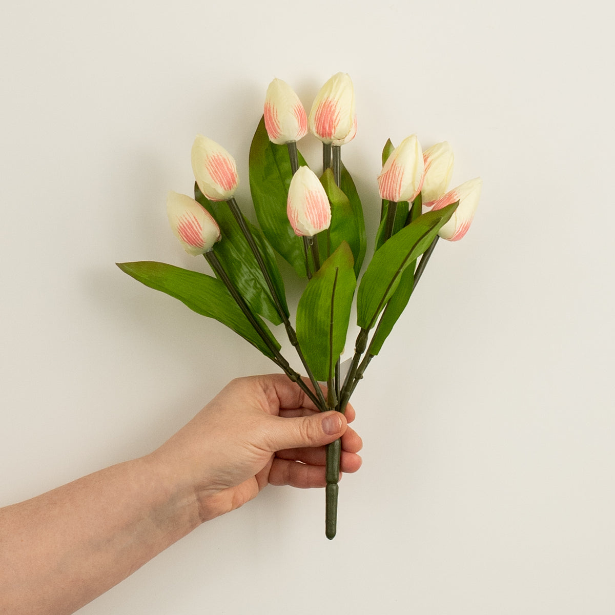 13" Tulip Bush: Cream & Pink (9 Stem) detail photo 3