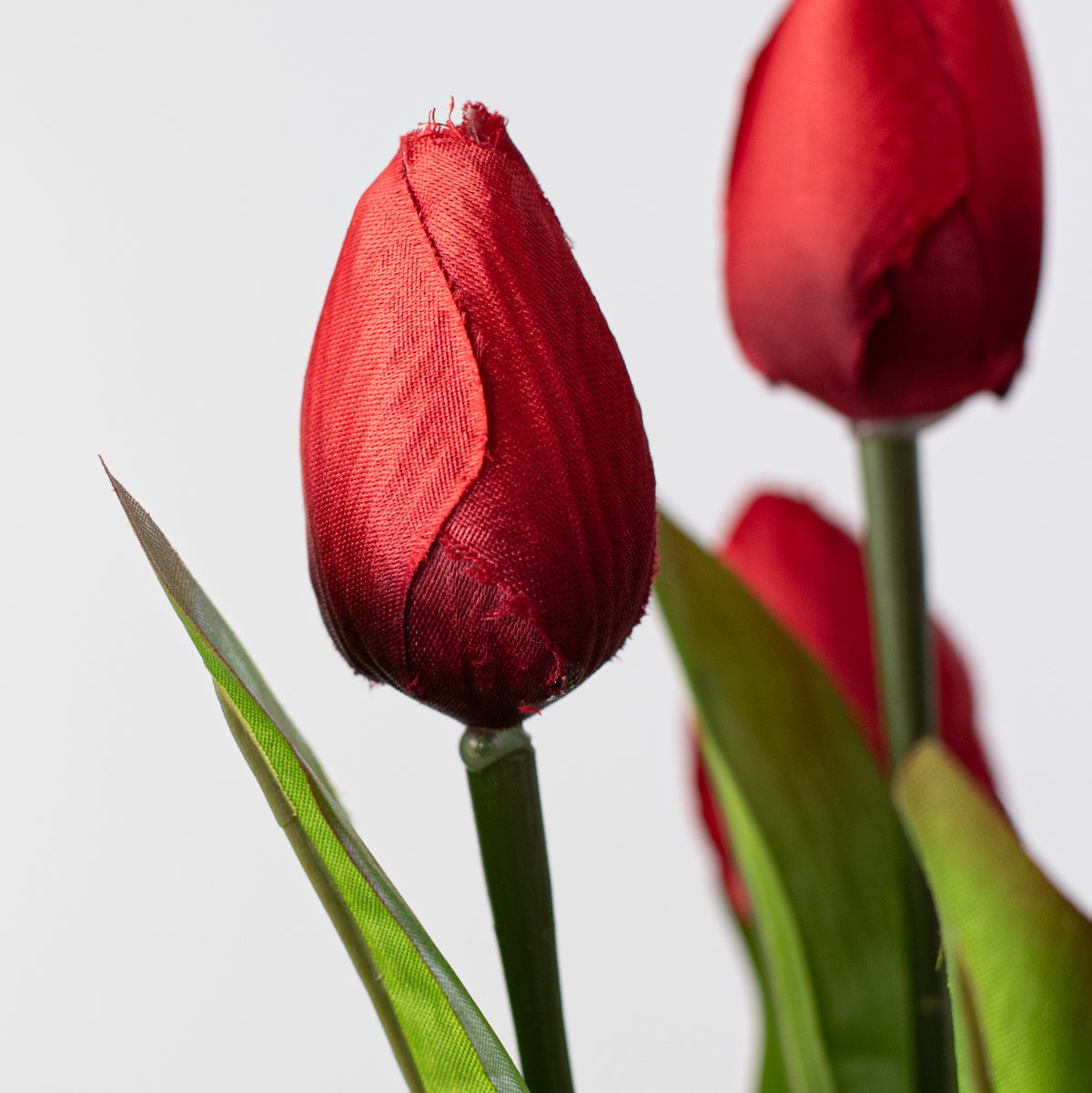 13" Tulip Bush: Red (9 Stem) Lifestyle Photo