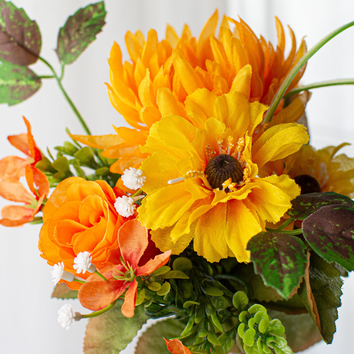 Un-bushed Pick Mix: Rose, Mum, Black-Eyed Susan Lifestyle Photo