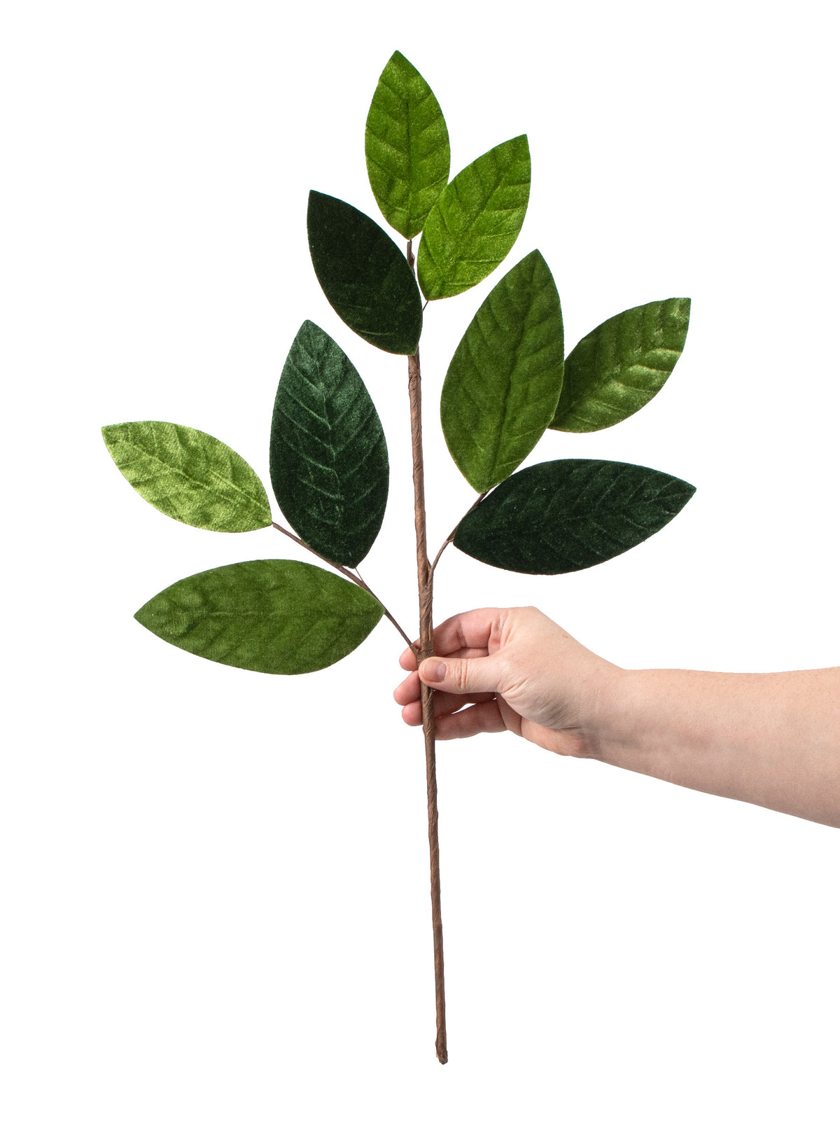 24" Velvet Magnolia Leaf Spray: Two Tone Green detail photo 3