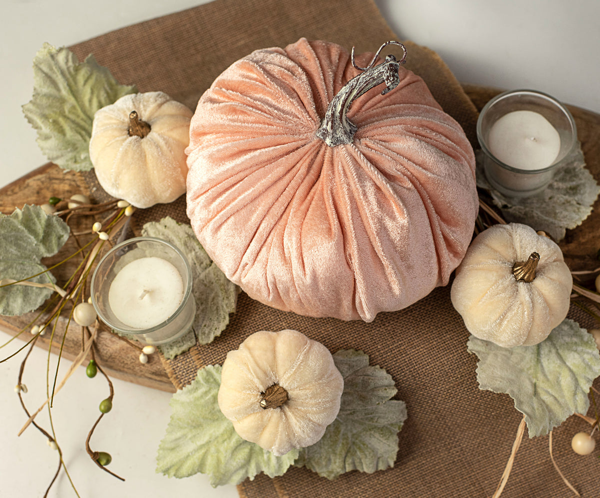 6.5" Velvet Pumpkin: Champagne Pink Lifestyle Photo