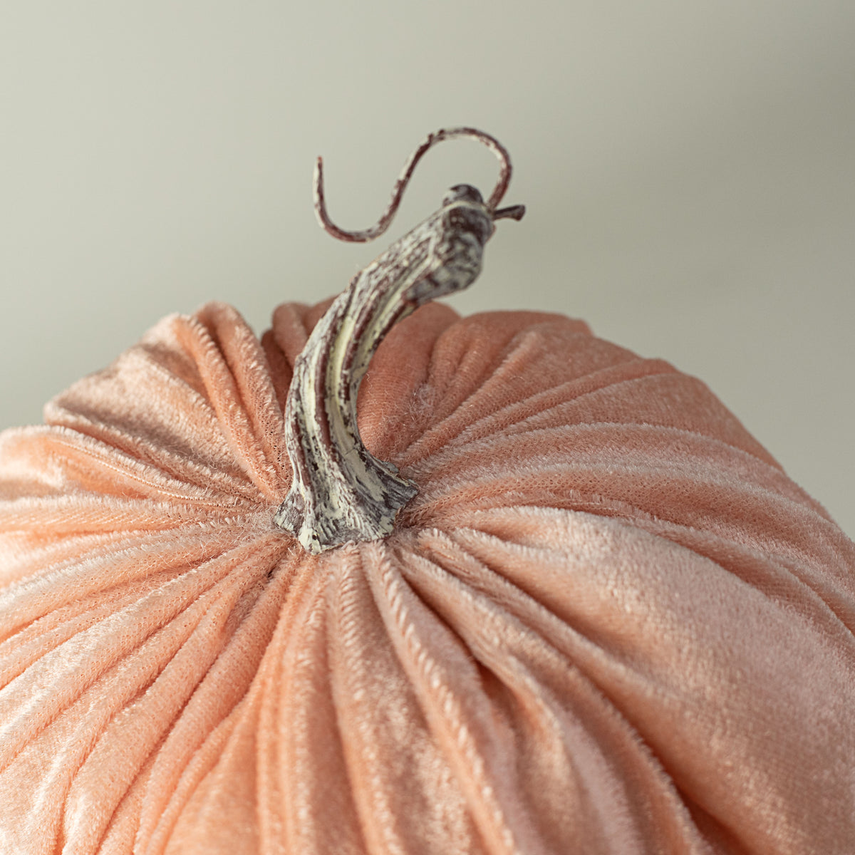 6.5" Velvet Pumpkin: Champagne Pink detail photo 3
