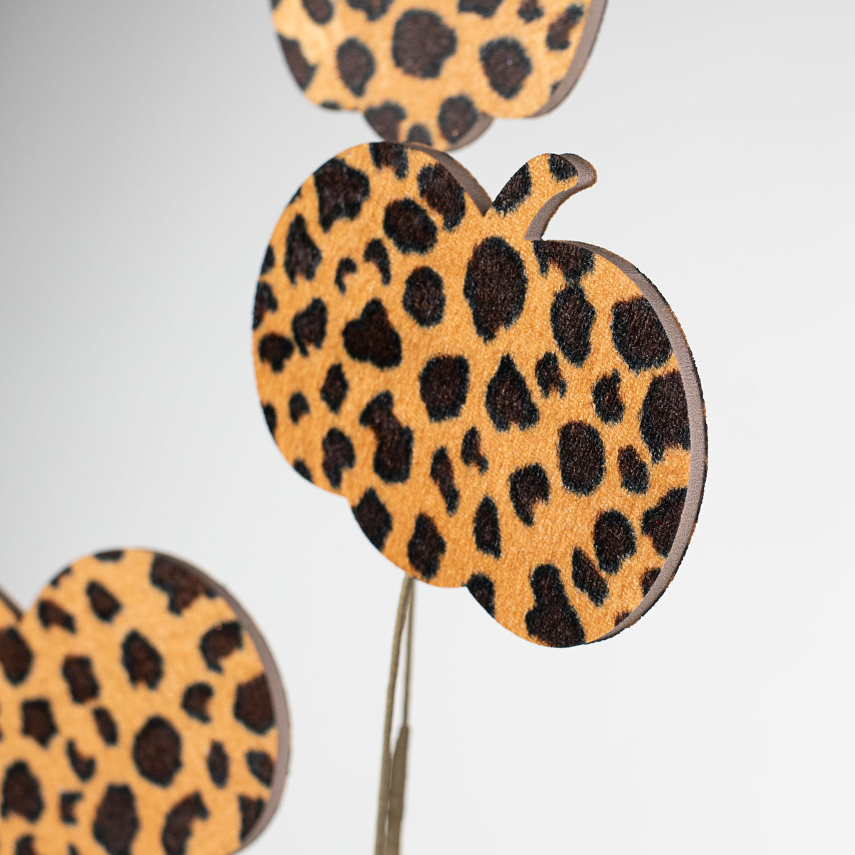 31" Velvet Pumpkin Spray: Cheetah Lifestyle Photo