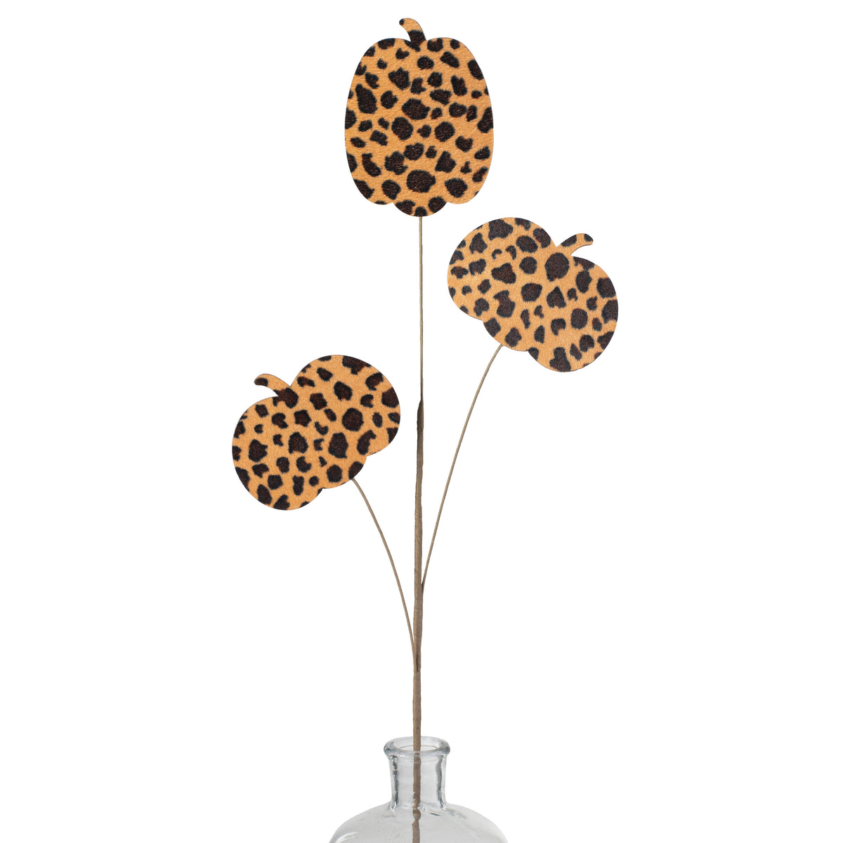 31" Velvet Pumpkin Spray: Cheetah Item Number: HA901820