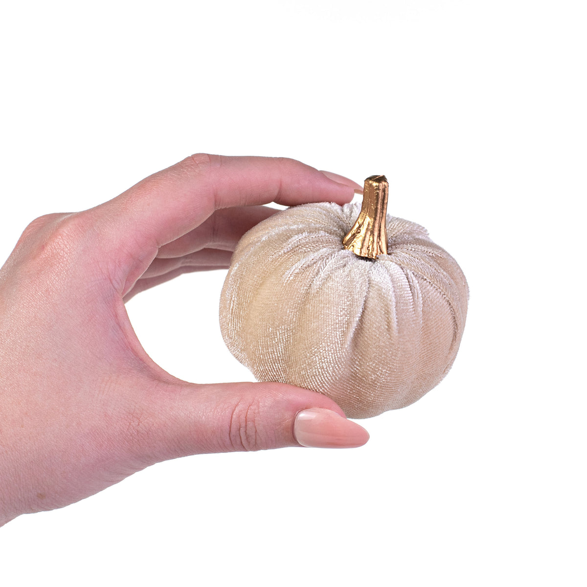 3" Velvet Pumpkins: Champagne (Set of 6) detail photo 3