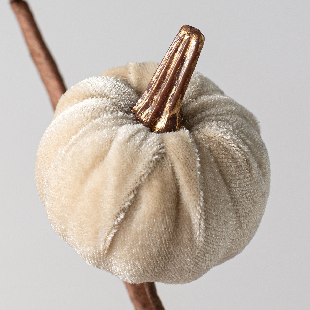 15" Velvet Pumpkins with Gold Stem Pick: Champagne Lifestyle Photo