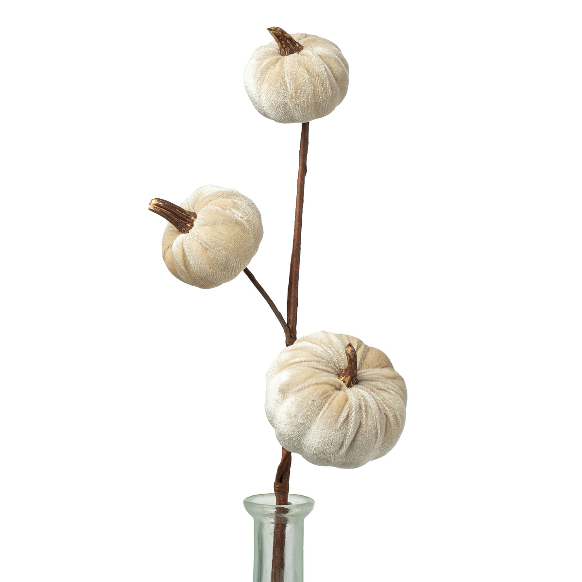 15" Velvet Pumpkins with Gold Stem Pick: Champagne Item Number: 31353