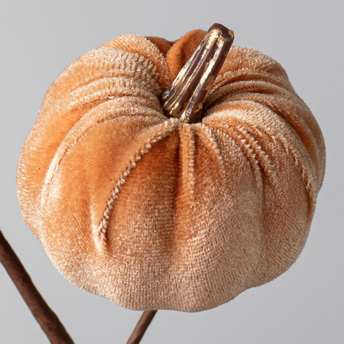 15" Velvet Pumpkins with Gold Stem Pick: Fall Mix Lifestyle Photo