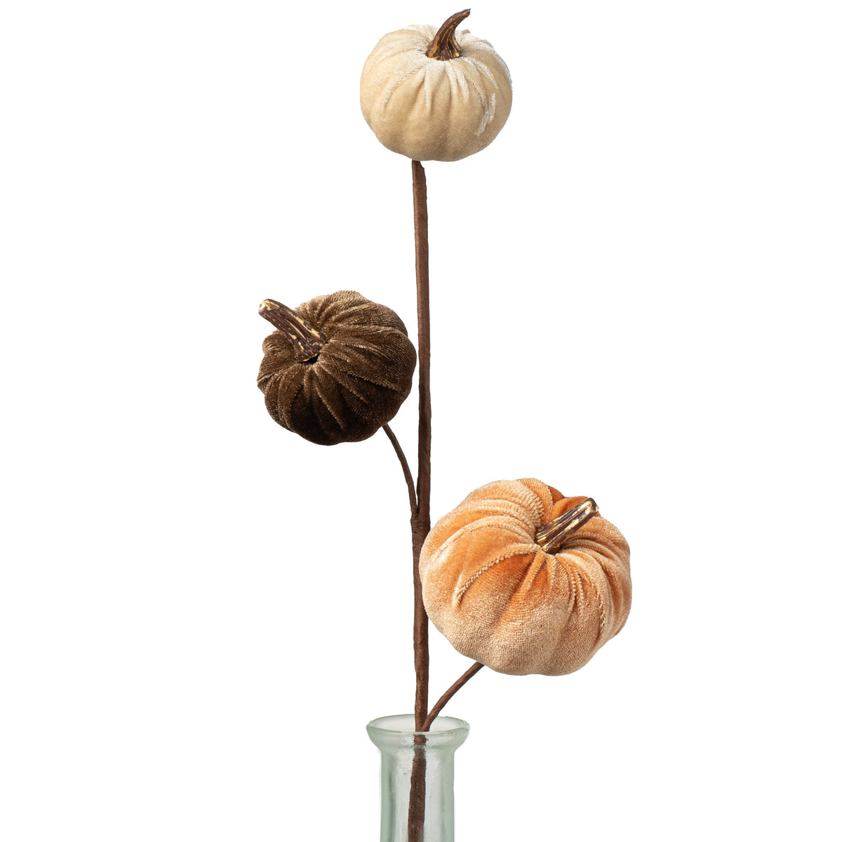 15" Velvet Pumpkins with Gold Stem Pick: Fall Mix Item Number: 31350