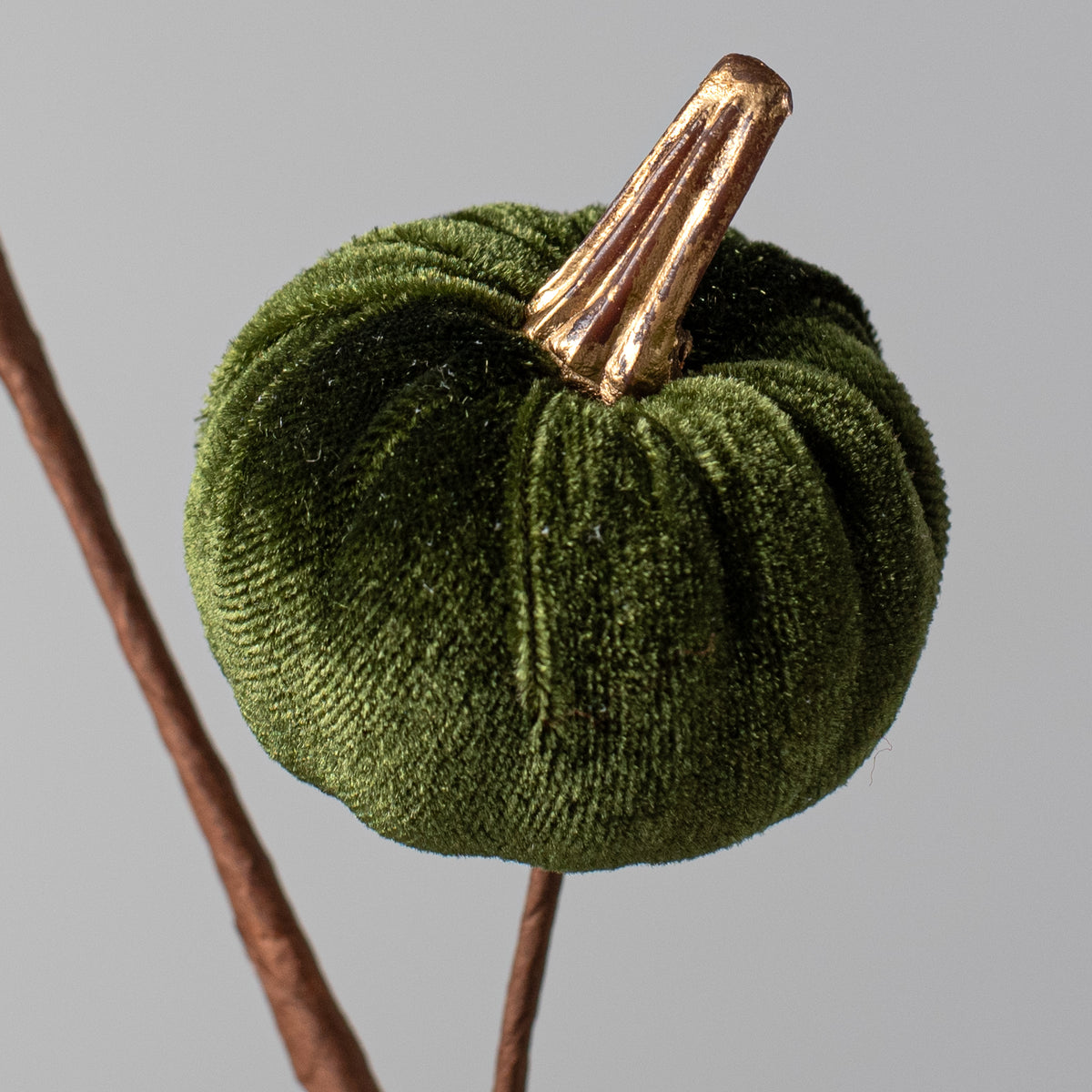 15" Velvet Pumpkins with Gold Stem Pick: Moss Green Lifestyle Photo