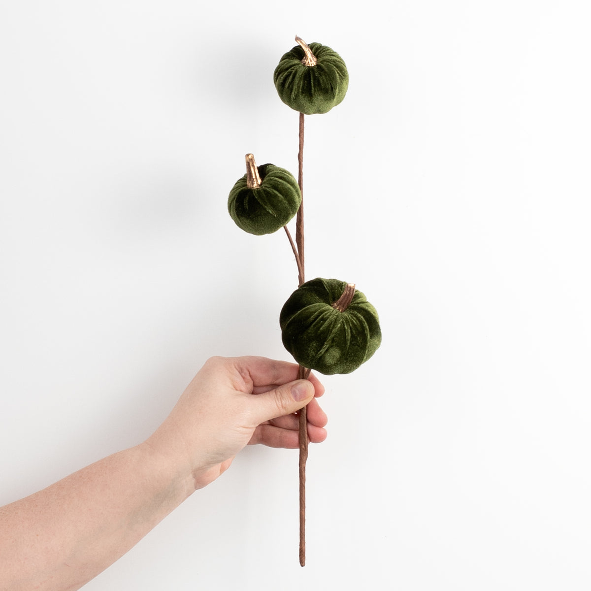 15" Velvet Pumpkins with Gold Stem Pick: Moss Green detail photo 3