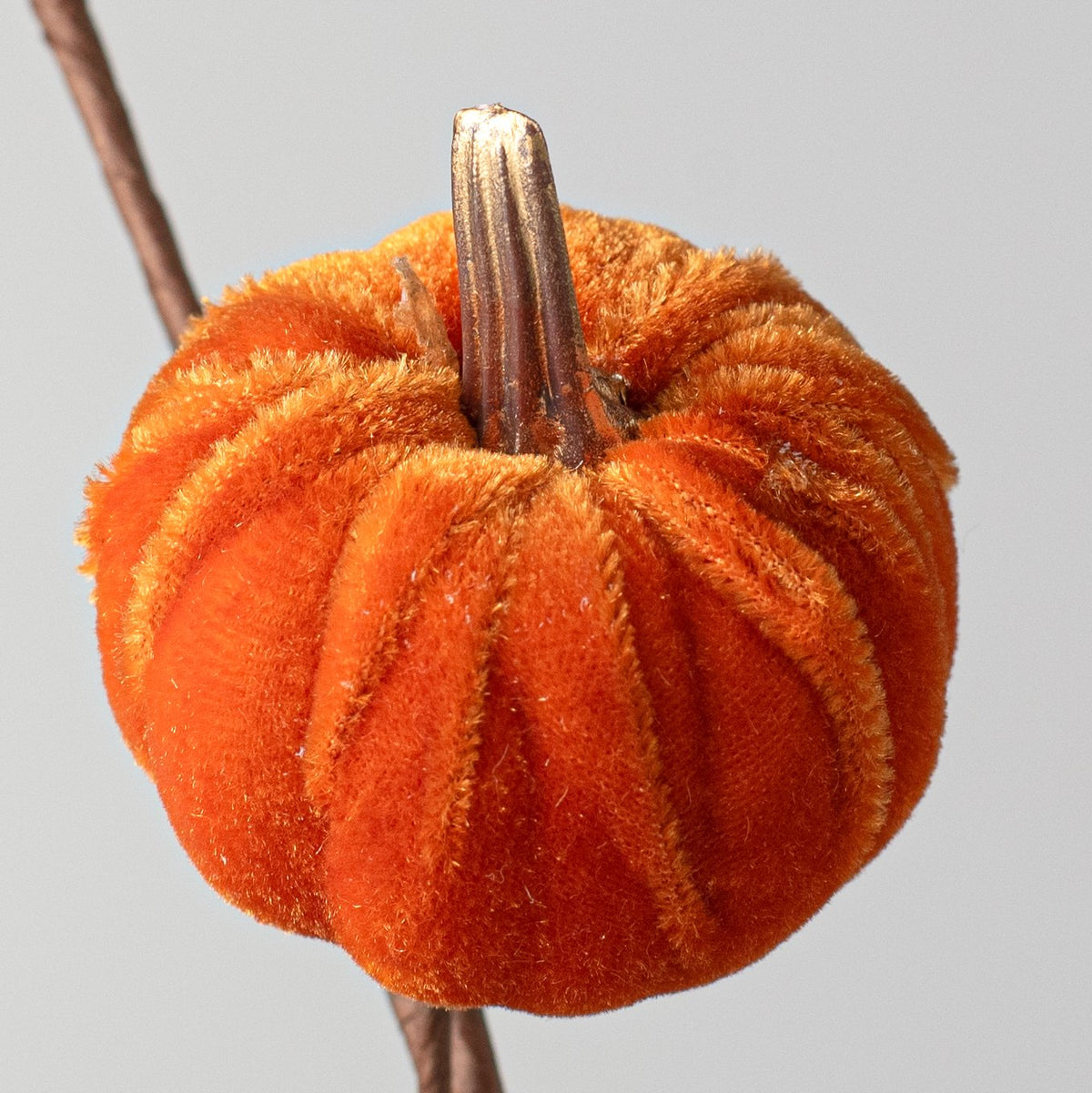 15" Velvet Pumpkins with Gold Stem Pick: Orange Lifestyle Photo