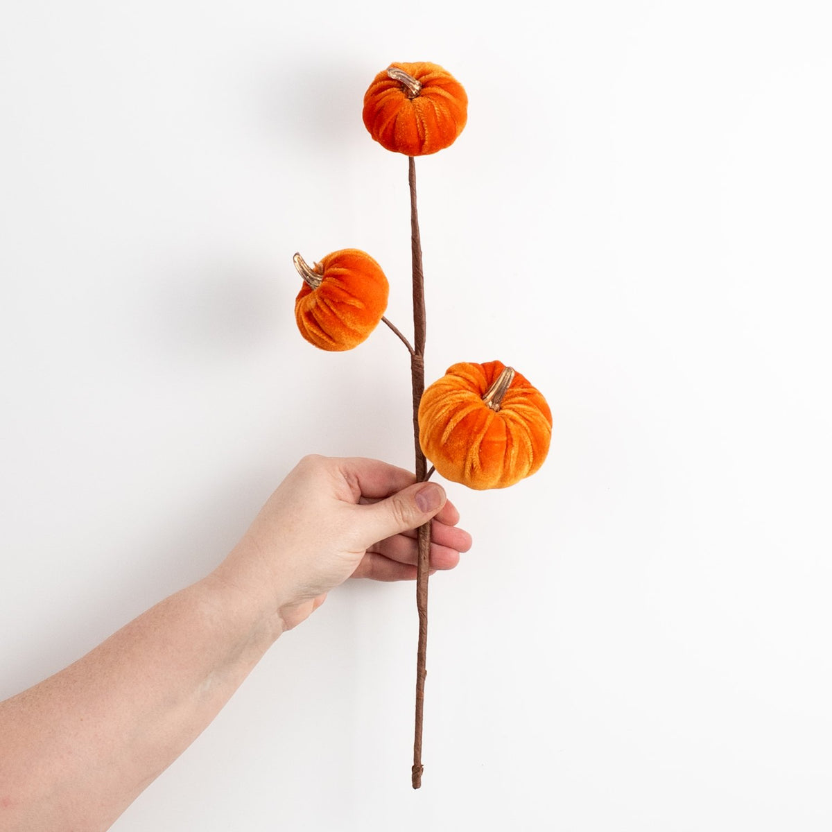 15" Velvet Pumpkins with Gold Stem Pick: Orange detail photo 3