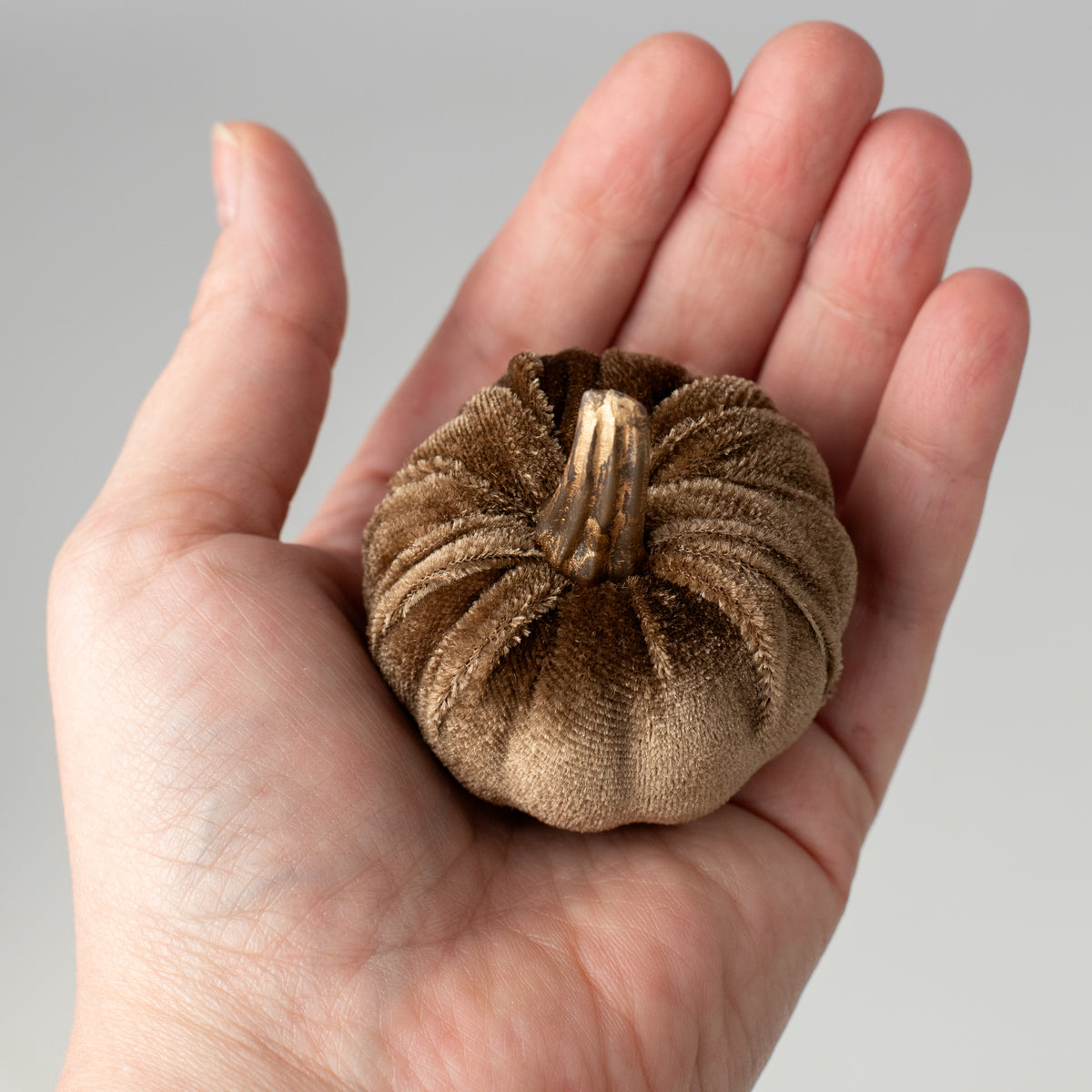 2" Velvet Pumpkins with Gold Stems: Brown (Pack of 6) Lifestyle Photo