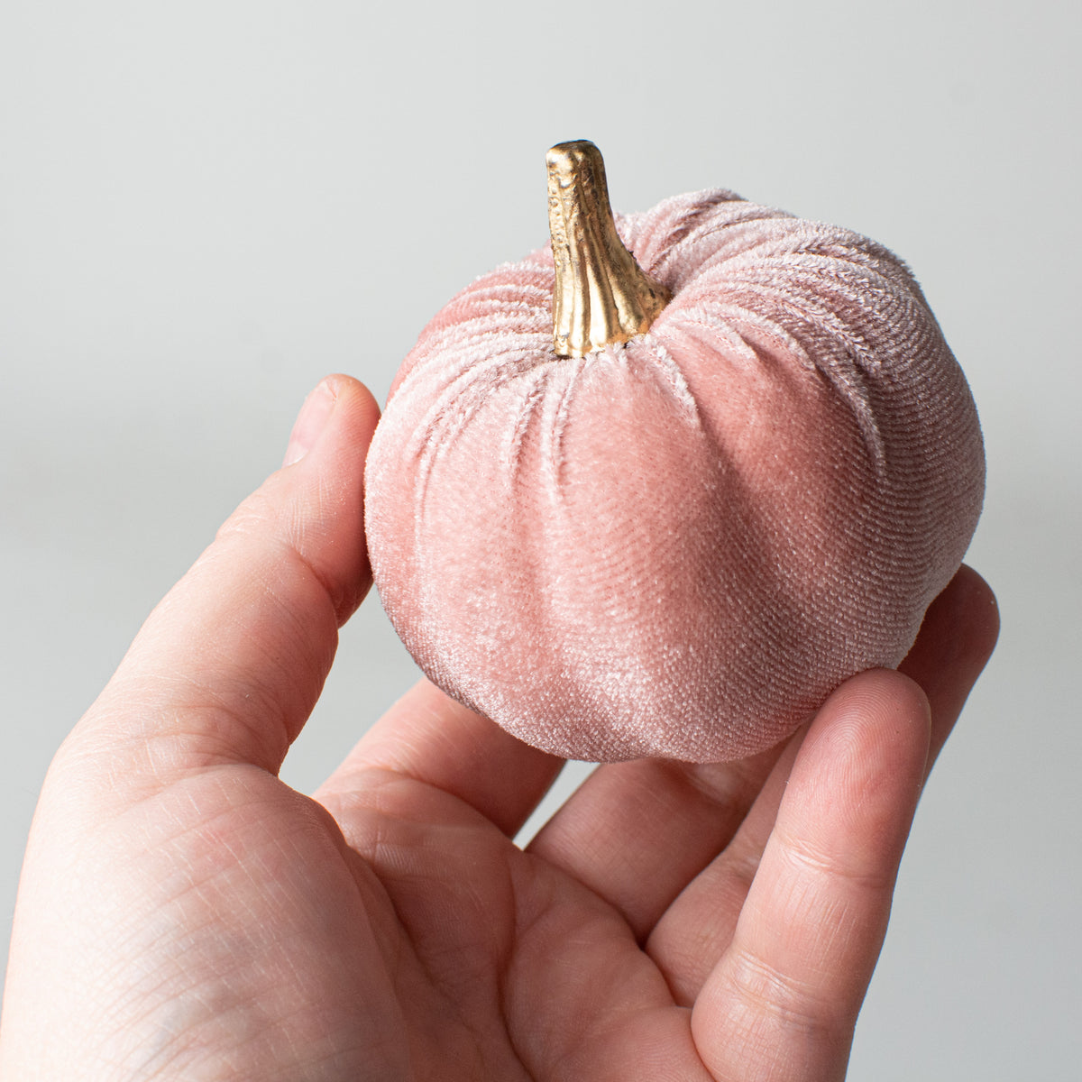 3" Velvet Pumpkins: Rose Pink (Set of 6) detail photo 3