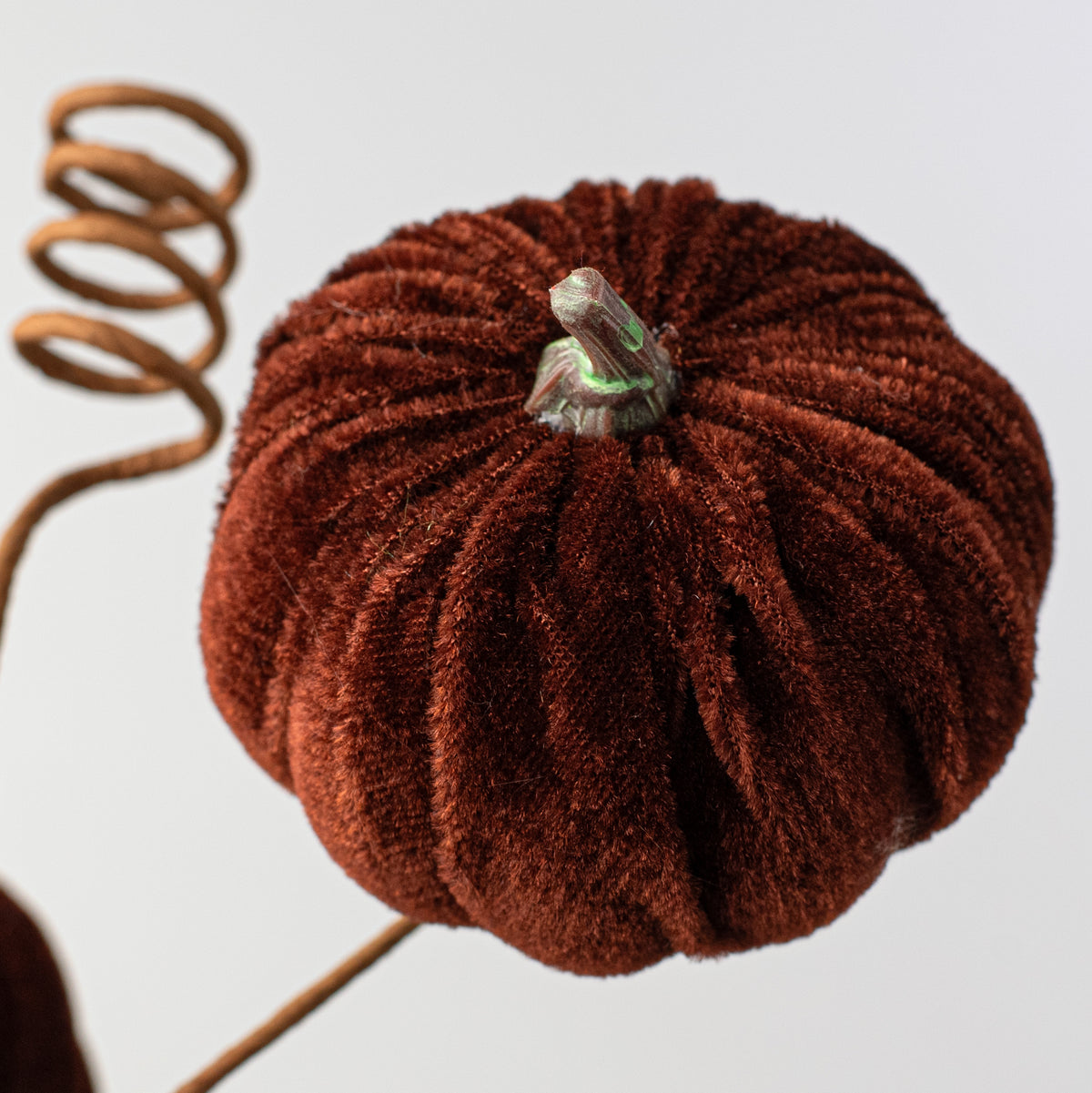 24" Velvet Pumpkins Spray: Chocolate Brown Lifestyle Photo