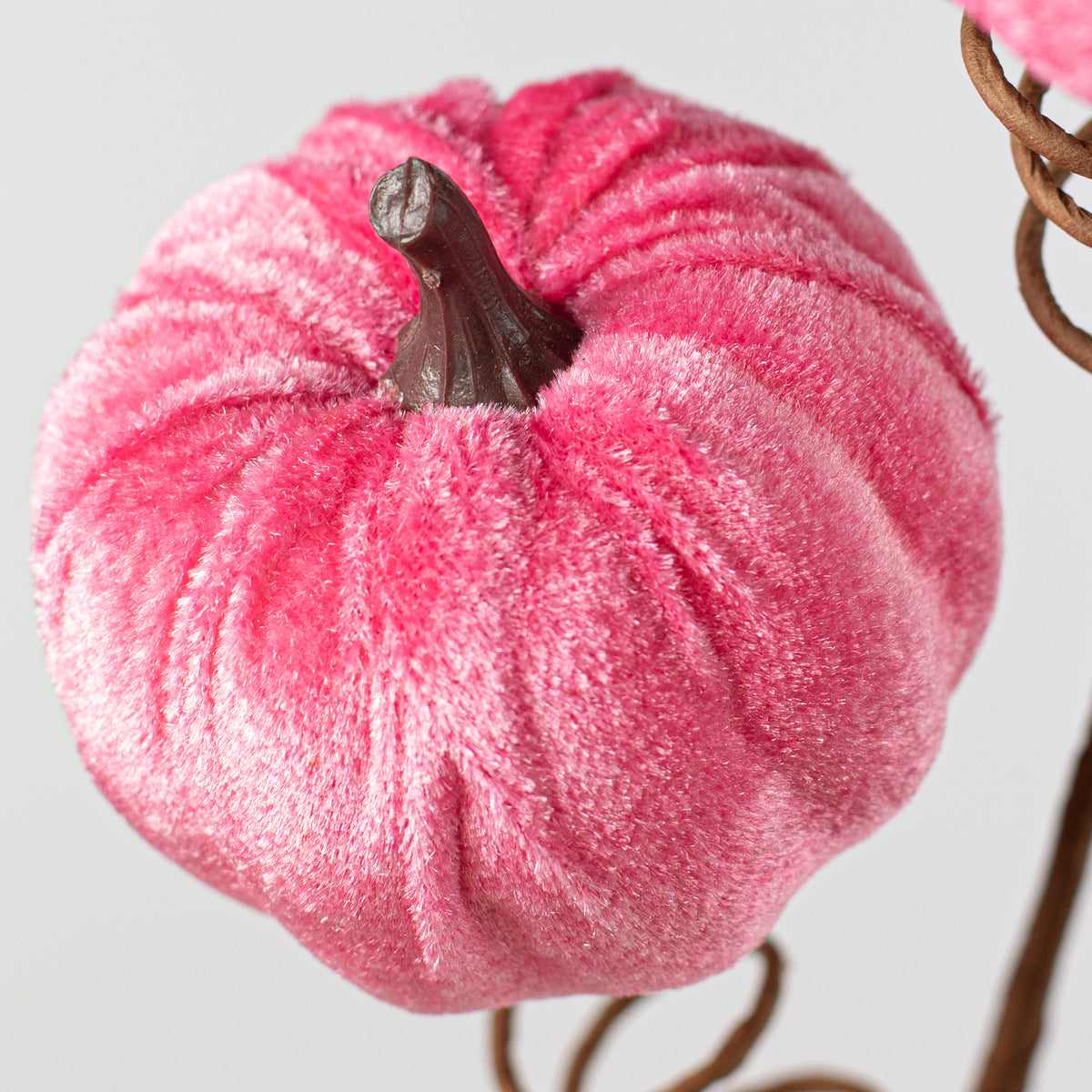 22" Velvet Pumpkins Spray: Fuchsia Pink Lifestyle Photo