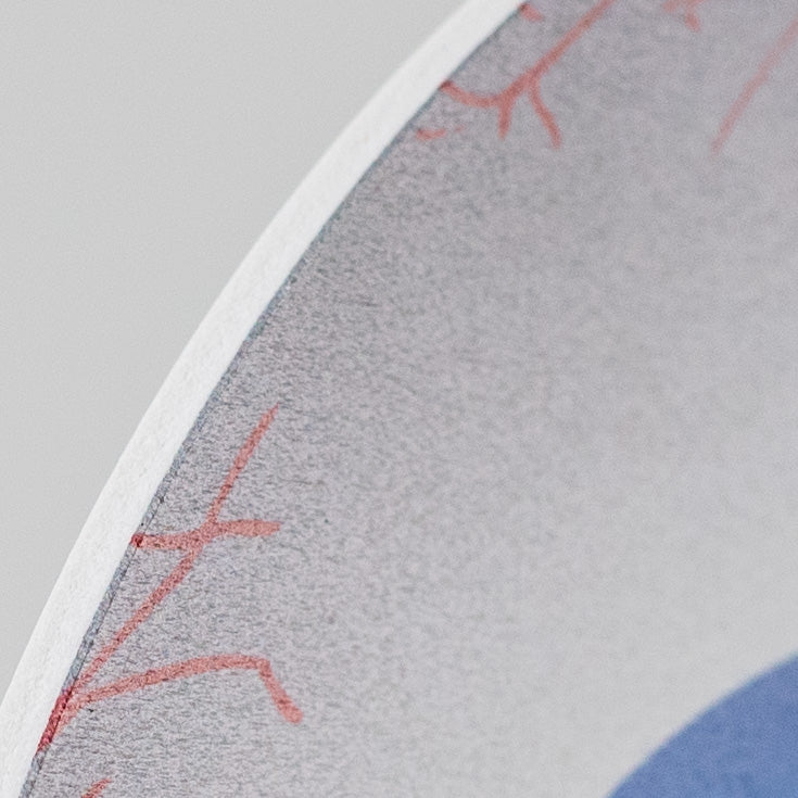 7" Waterproof Accent: Flat Blue Eyeball detail photo 3
