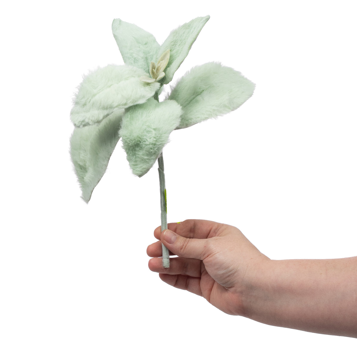9" Whimsical Fuzzy Lamb's Ear Stem Lifestyle Photo