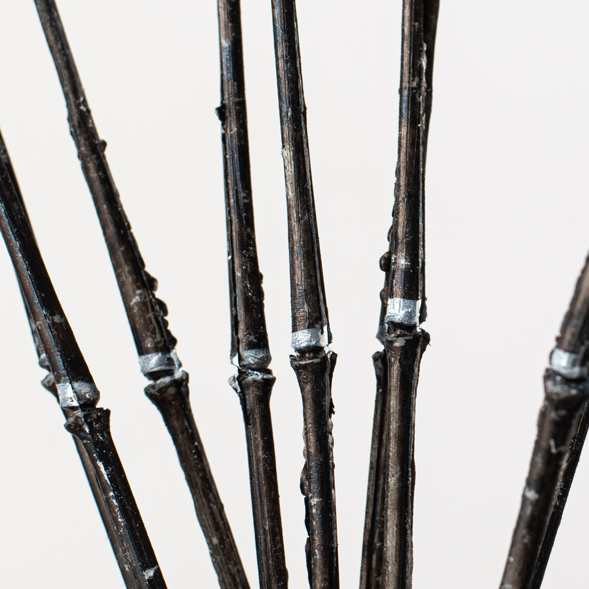 21" Wicked Horsetail Bundle: Black Lifestyle Photo