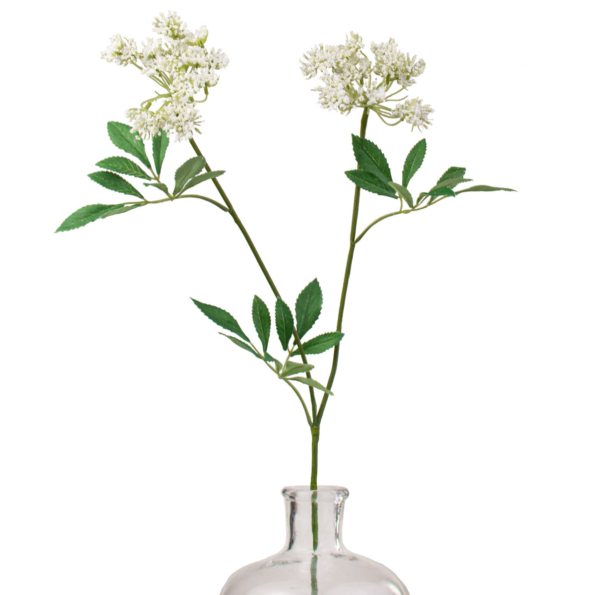 27" Wild Queen Ann's Lace Spray Item Number: 147616