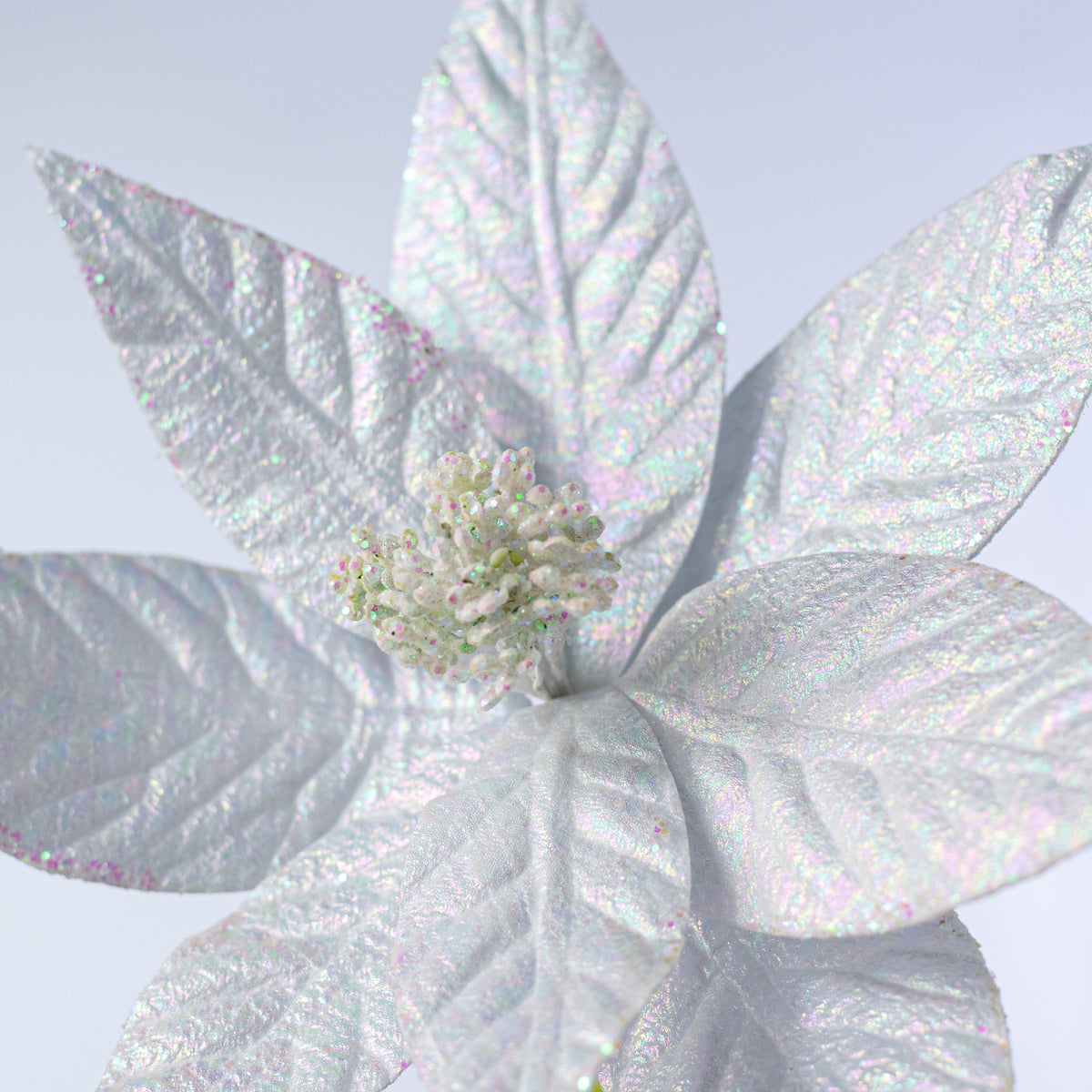 10" x 13" Glossy Poinsettia Stem: Iridescent White Lifestyle Photo