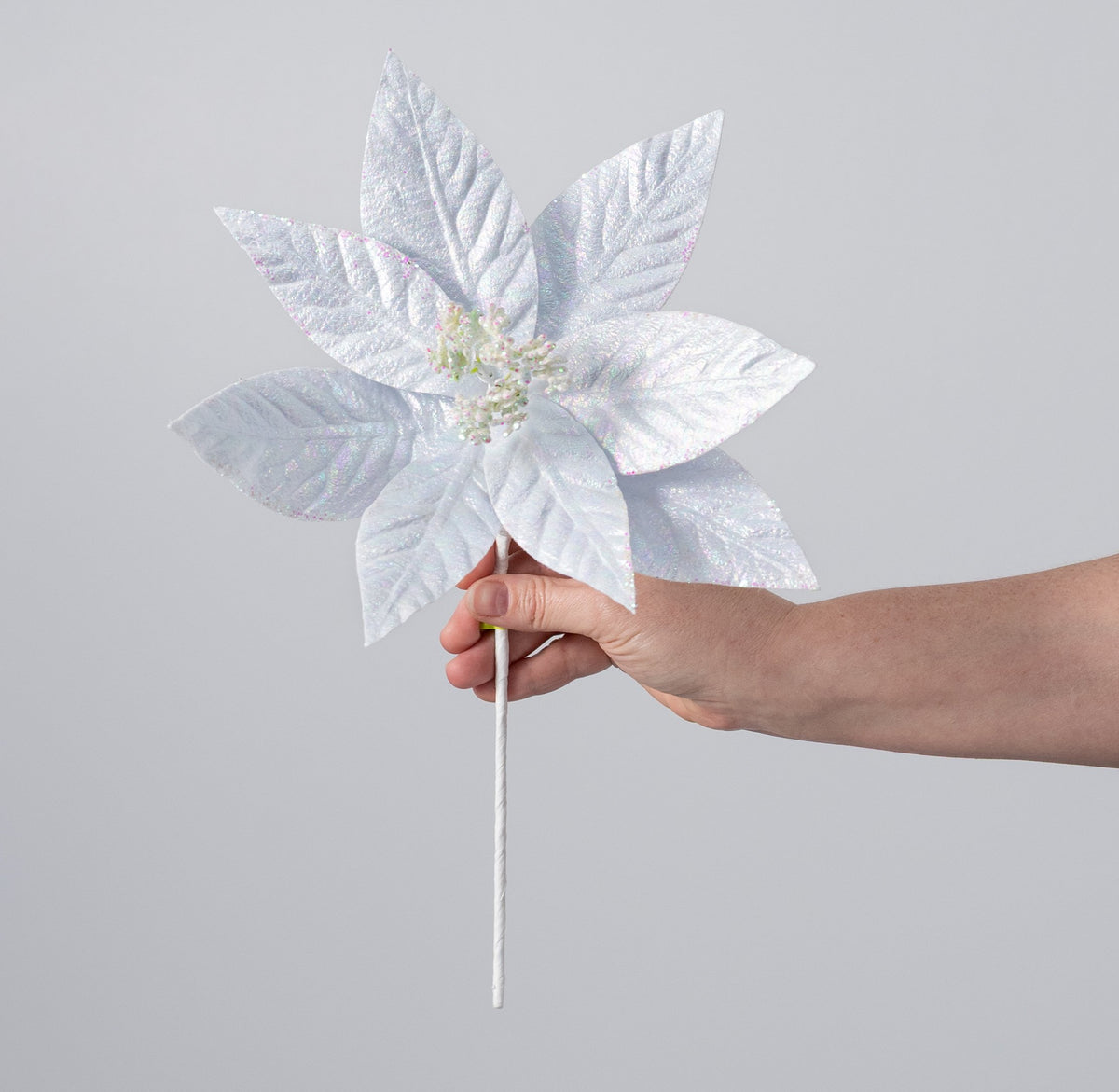 10" x 13" Glossy Poinsettia Stem: Iridescent White detail photo 3