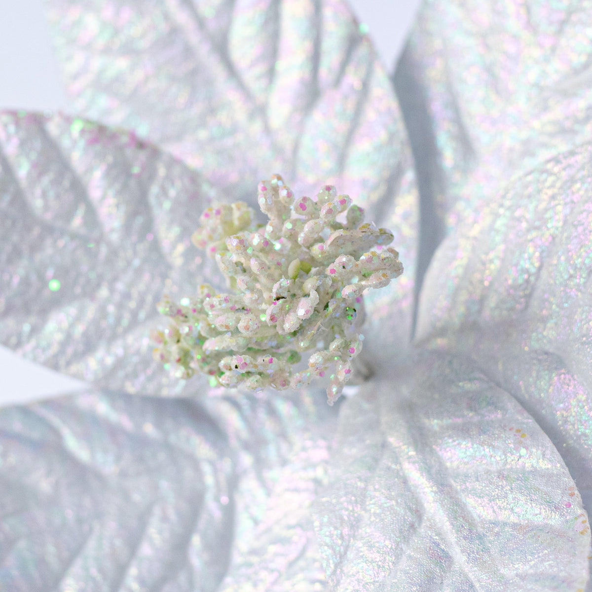10" x 13" Glossy Poinsettia Stem: Iridescent White detail photo 4
