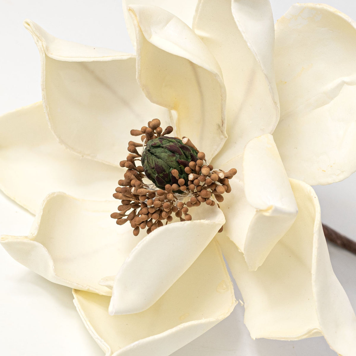 10" x 24" Soft Touch Magnolia Stem: Cream detail photo 4