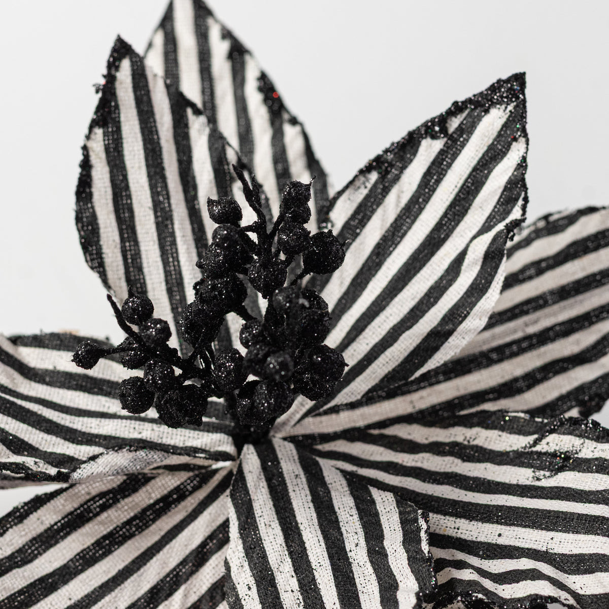 11" x 19" Striped Poinsettia Stem: Black & White Lifestyle Photo