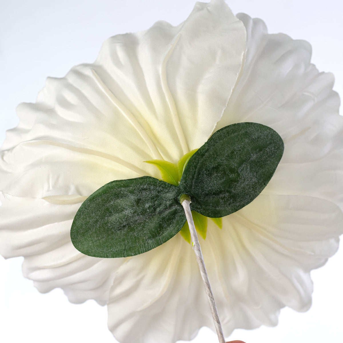 11" Oversized Poppy Head: Cream detail photo 5