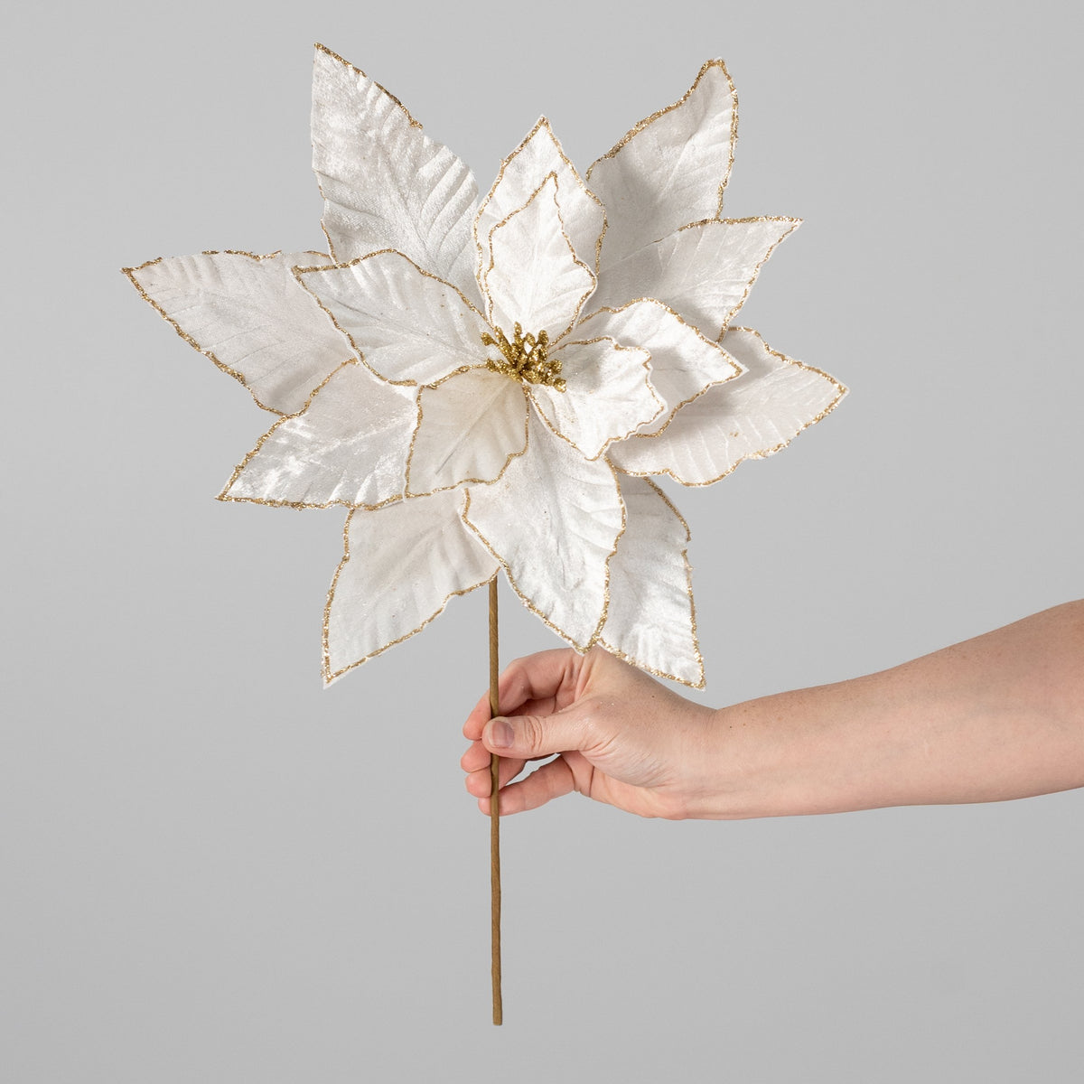 15" Glitter Edge Velvet Poinsettia Spray: White & Gold detail photo 3
