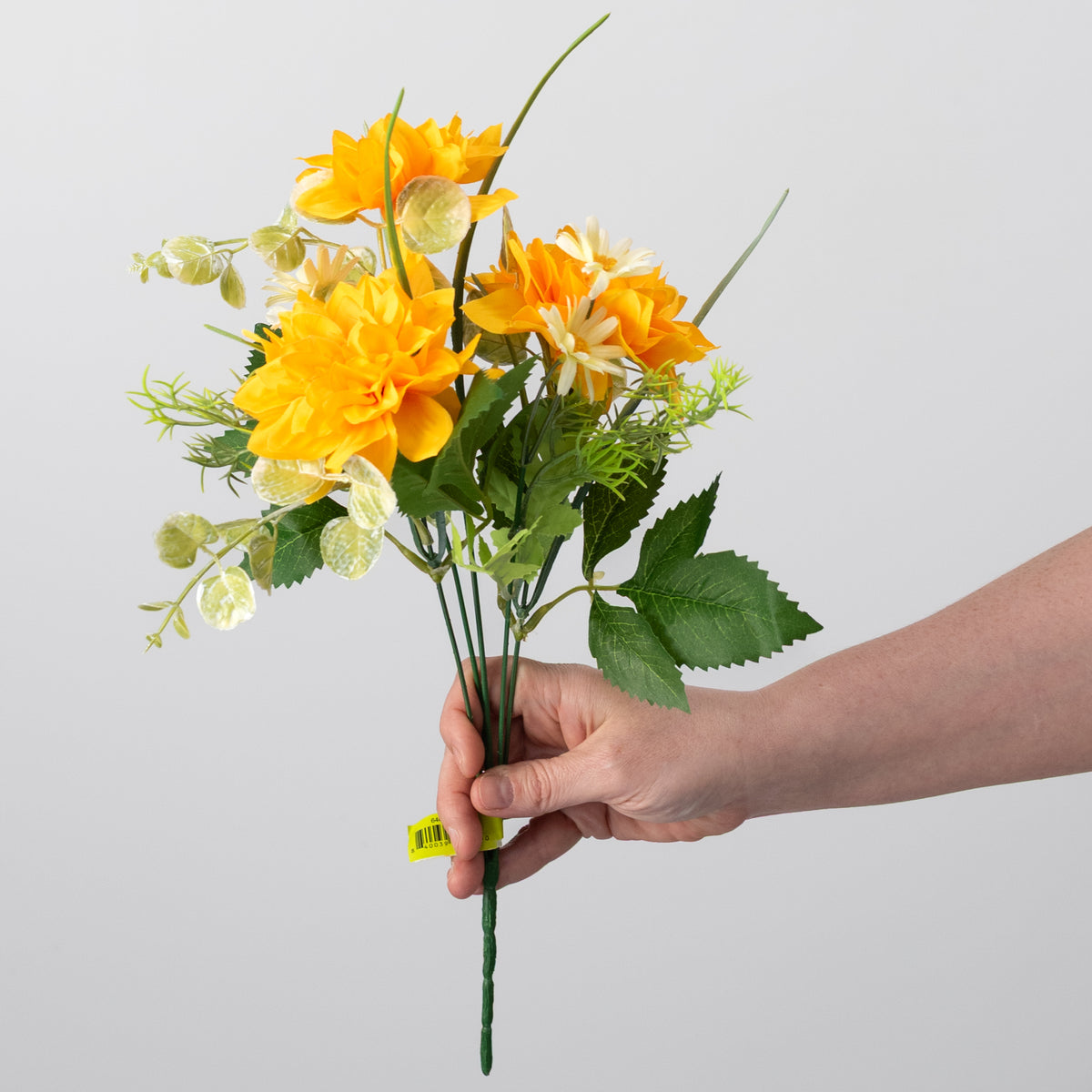 15" Mixed Dahlia Bush: Golden Yellow detail photo 3