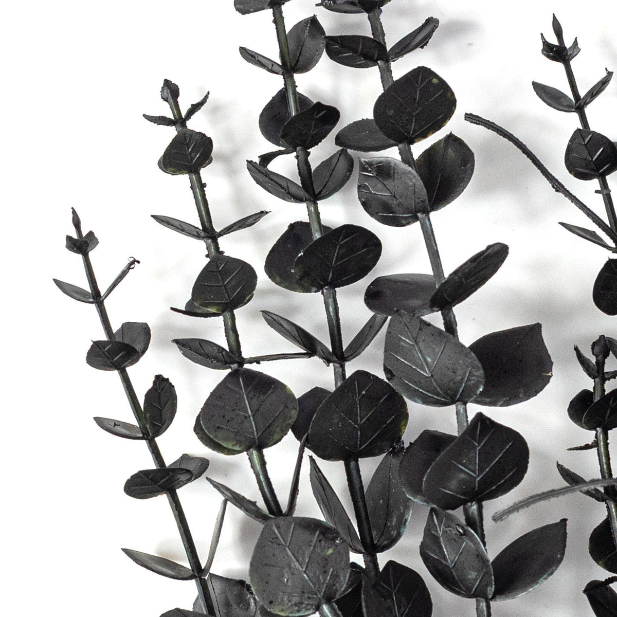15" Plastic Eucalyptus Bush: Black Lifestyle Photo