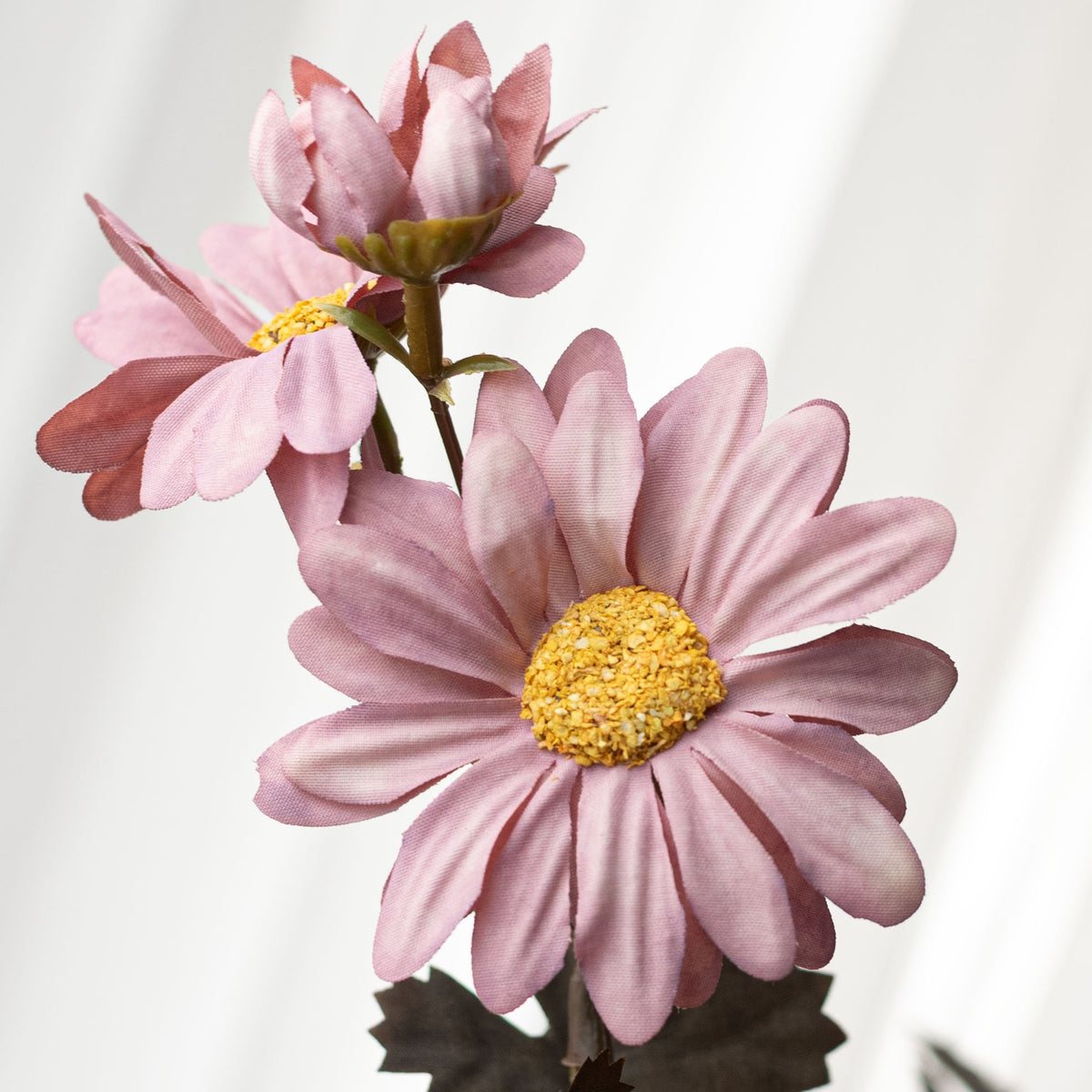 17" Chrysanthemum Bush: Mauve Pink (12 Stem) Lifestyle Photo