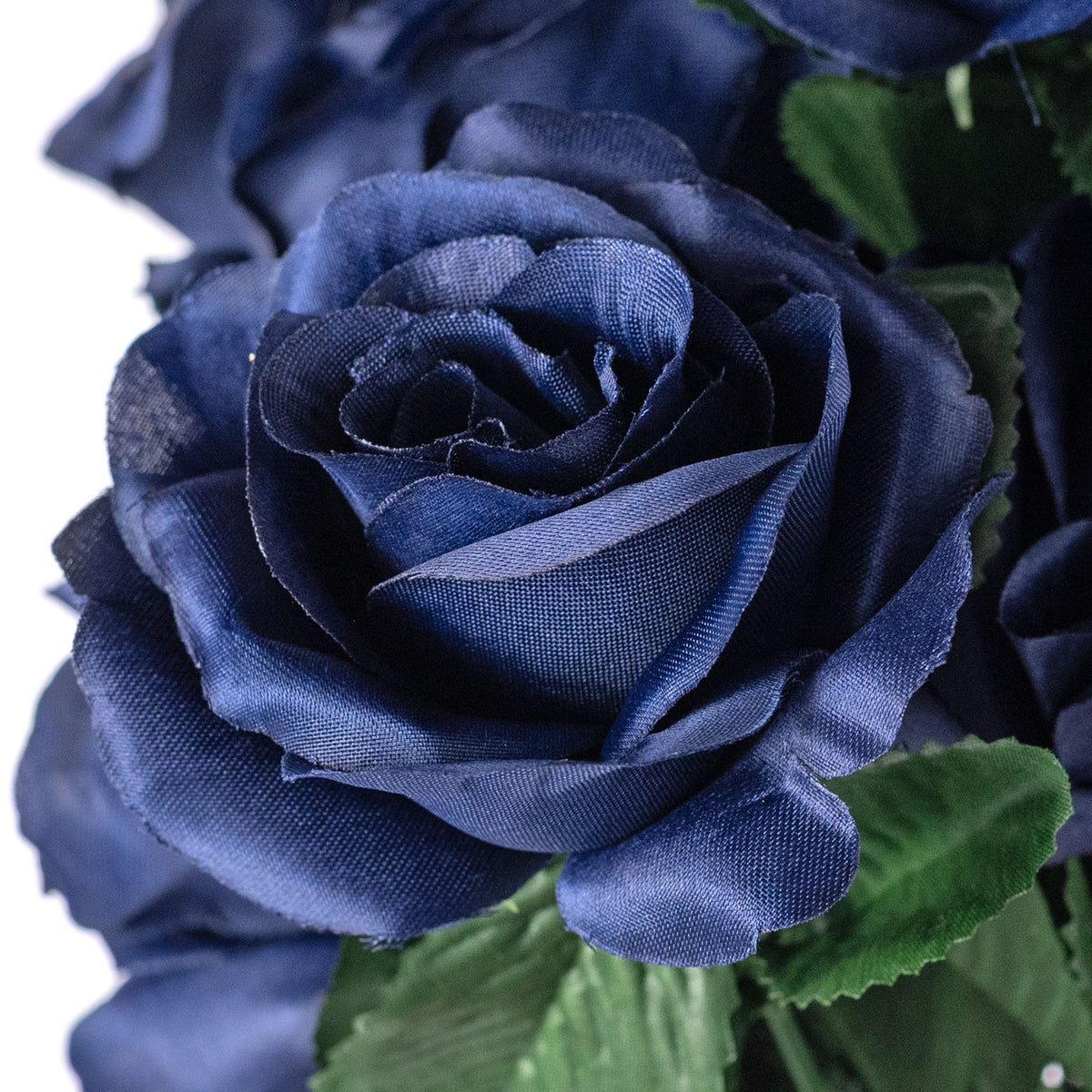 17" Colorfast Lillian Open Rose Bush: Navy Blue (12 Stem) Lifestyle Photo