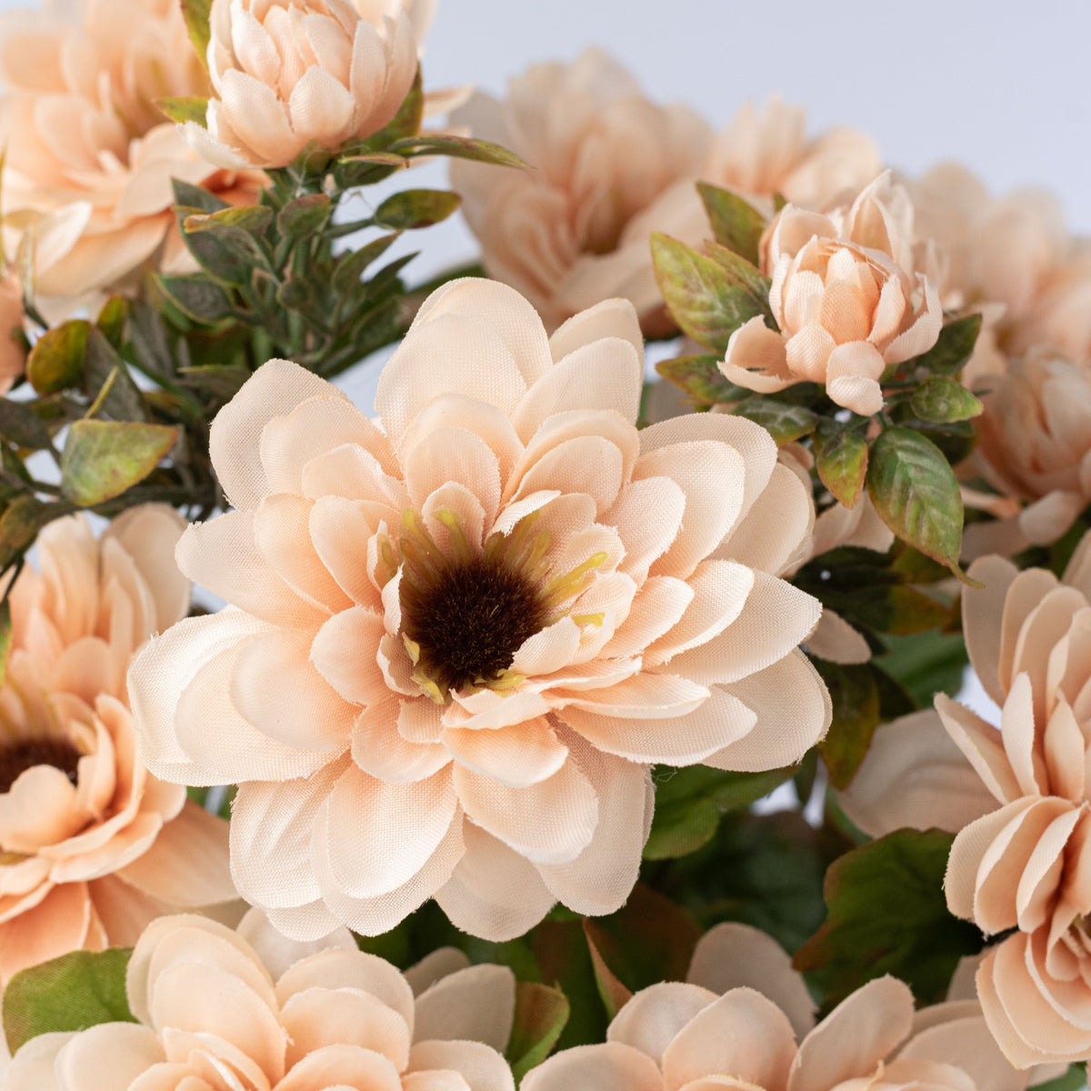 17" Zinnia Bush: Beige (12 Stem) Lifestyle Photo