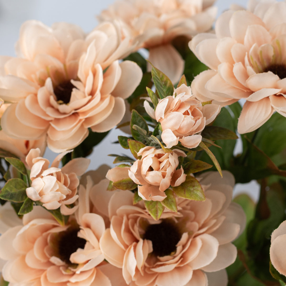 17" Zinnia Bush: Beige (12 Stem) detail photo 4
