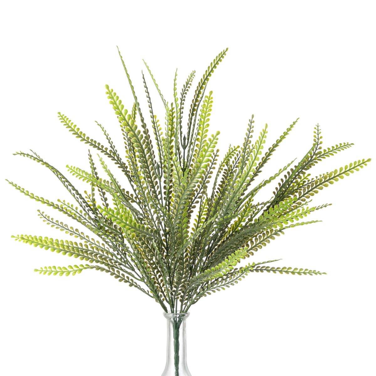 19" Button Fern Leaf Bush: Variegated Green Item Number: FG688642
