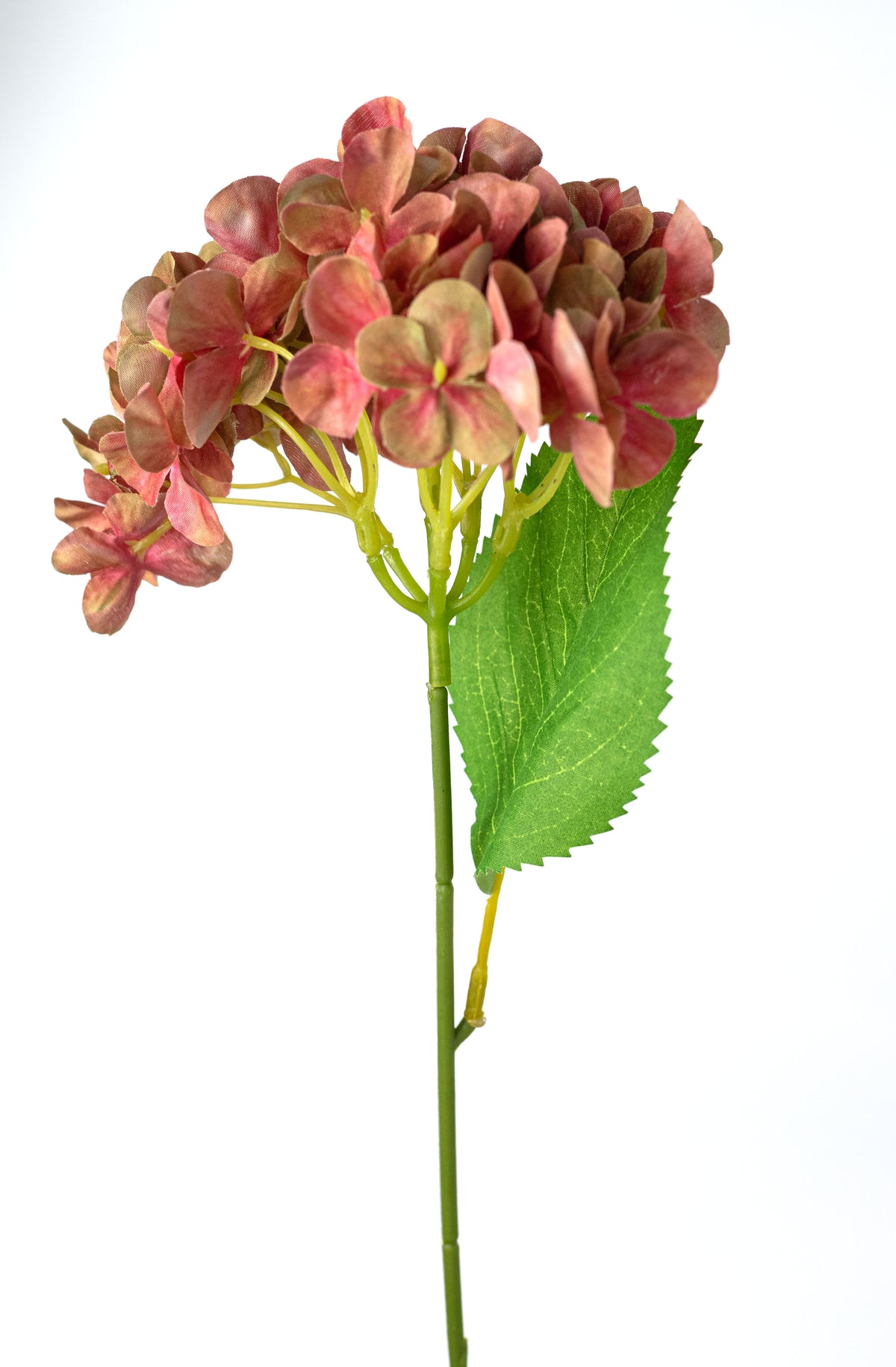 19" Hydrangea Bush: Dusty Salmon Pink (5 Stem) detail photo 5