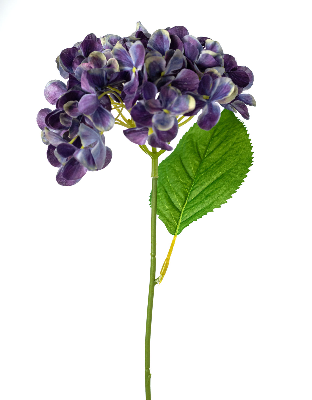 19" Hydrangea Bush: Regal Purple (5 Stem) detail photo 5