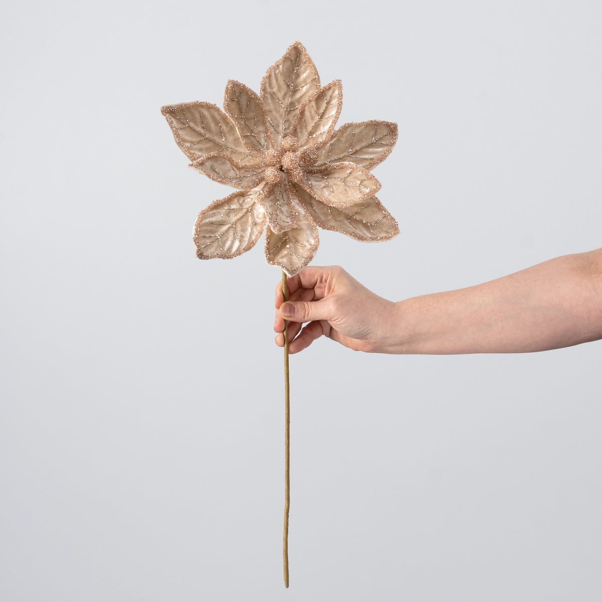 20" Glittered Velvet Poinsettia Stem: Champagne & Tan detail photo 3
