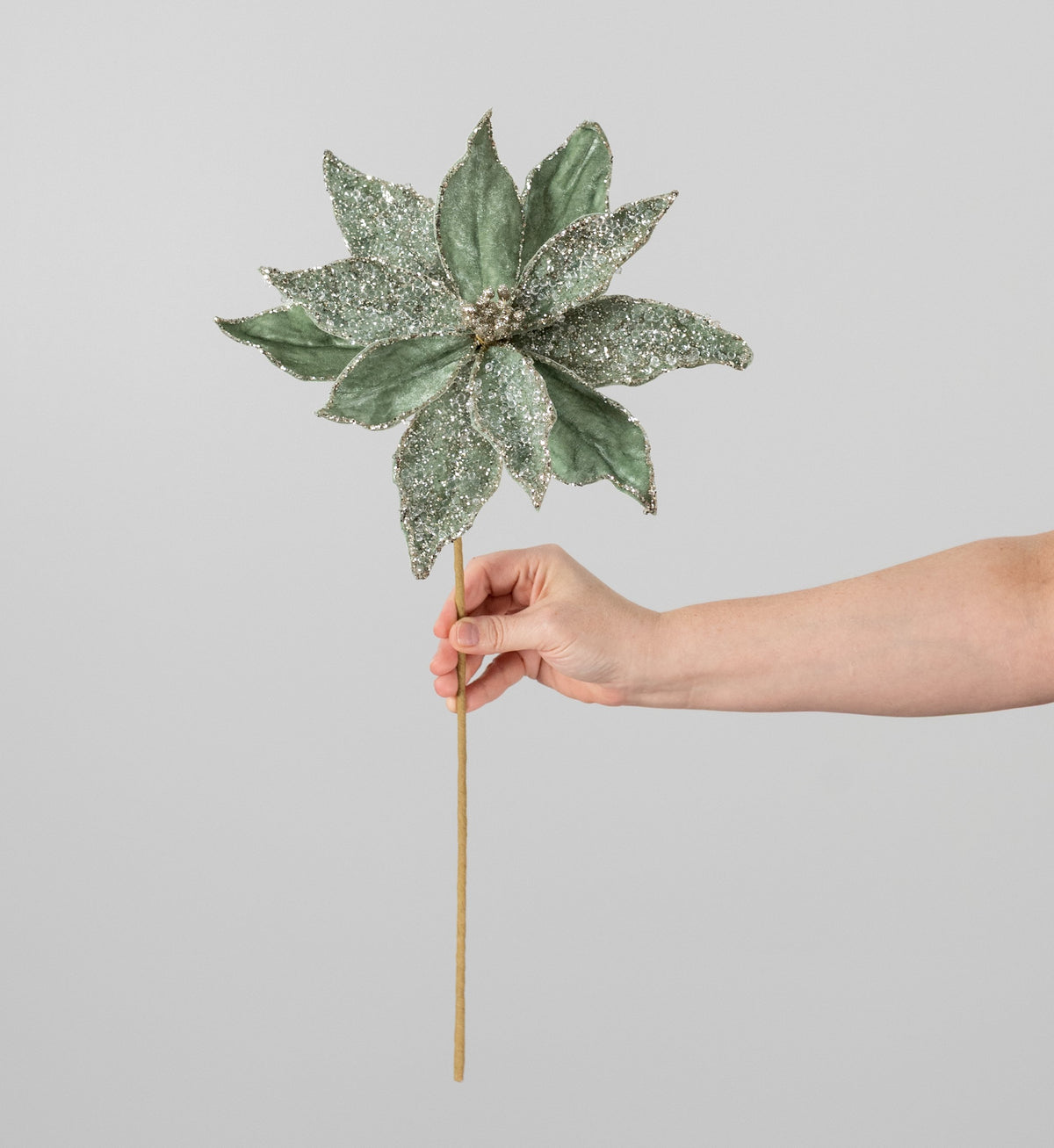 20" Iced Velvet Poinsettia Stem: Sage Green detail photo 3